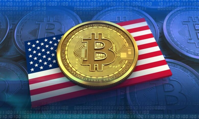 Cryptocurrency Identified as Influential Factor in U.S. 2024
